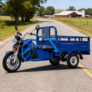 Manufactured Online Wholesale <strong>Mini</strong> Electric <strong>Tricycle</strong> <strong>Truck</strong> Road-Legal <strong>Cargo</strong> <strong>Scooter</strong> with Open Body Door-to-Door Shipping Carrie - Product Image 3