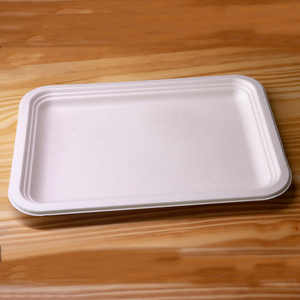 Assiettes en papier carrées <span class=keywords><strong>de</strong></span> grande taille entièrement biodégradables, en pulpe <span class=keywords><strong>de</strong></span> canne à sucre, pour le camping, les fêtes, les écrevisses, les homards, les fruits <span class=keywords><strong>de</strong></span> <span class=keywords><strong>mer</strong></span> - Product Image 5