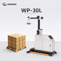 Robot de palettisation collaboratif WP-30L, Cobot Palettiseur, 12 PCS Min, Robot de manutention rapide et automatique pour cartons, caisses et sacs