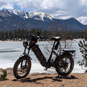 Bicicleta Eléctrica de Montaña Eahora Juliet de 20 Pulgadas con Llantas Gruesas, Suspensión Completa, Largo Alcance, Frenos de Disco Hidráulicos para Adultos - Product Image 1