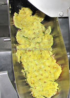Industriële turnkey installatie voor de productie van ananas puree en ananasjam
