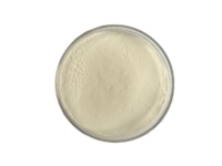 Enzyme trypsine de haute pureté (CAS: 9002) | Fourniture du fabricant | Idéal pour la culture cellulaire et la digestion des protéines