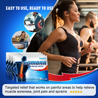 Meilleure vente patch de soulagement de la douleur lombaire au dos muscle genou douleur articulaire soins du corps plâtre oem odm