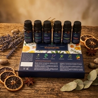 Ensemble d'huiles essentielles Puloty pour l'aromathérapie - 6 huiles pour diffuseurs, soins à domicile, fabrication de bougies, parfums, humidificateurs, cadeaux