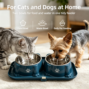 Ensemble de deux gamelles anti-fourmis pour animaux de compagnie, en acier inoxydable, pour chien et chat, avec isolation contre les insectes, gamelle amovible en métal - Product Image 5