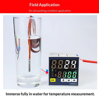 Temperature Sensor RTD T/E/J/K Type PTFE Insulation Waterproof Pin-type Probe OEM/ODM Customizable Length IP68