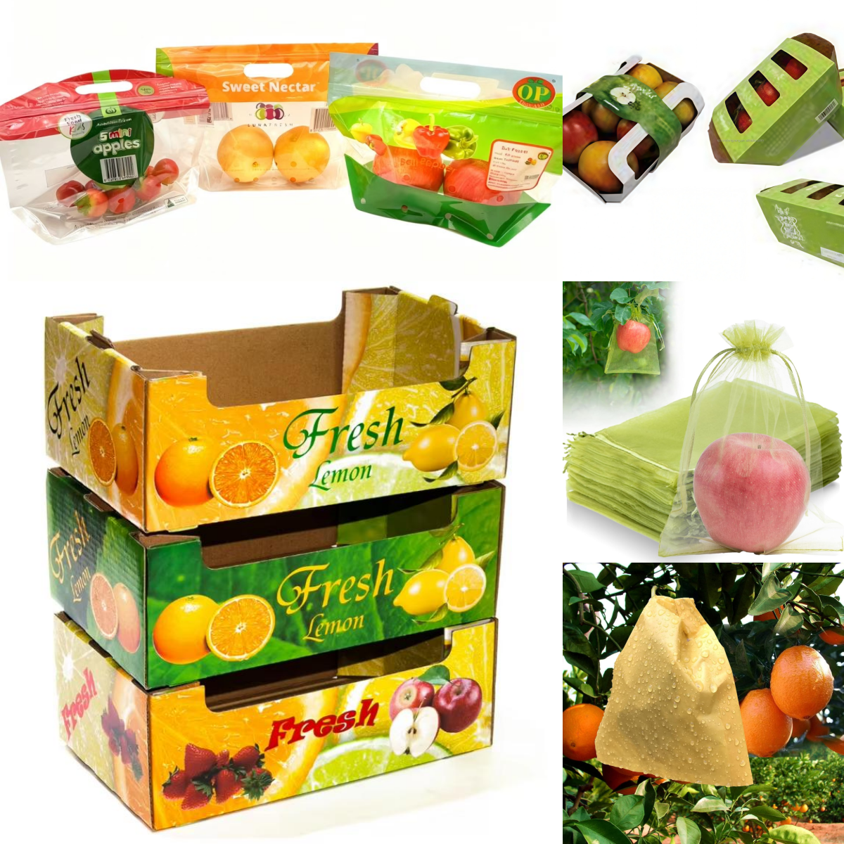 RDY Vegetables Plastic Bags Mesh Corrugated Cardboard Fruit Protection Net Onion Vegetable Paper Packaging Shipper Carton Boxes