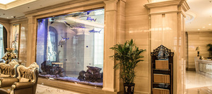 <span class=keywords><strong>Acquario</strong></span> per Pesci, Il Nostro Miglior Design per <span class=keywords><strong>Acquario</strong></span> di Discus, Vasca in Acrilico, Acquari e Accessori in Plastica, 5L, Rosso Dorato - Product Image 2