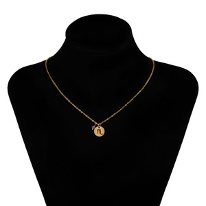 Pendentif porte-bonheur en acier inoxydable, pièce <span class=keywords><strong>de</strong></span> monnaie <span class=keywords><strong>Horoscope</strong></span>, signe du zodiaque, 12 étoiles, or argent, chaîne métallique, collier breloque astrologie - Product Image 4