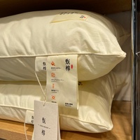 Oreiller en duvet de plumes d'oie 100 % coton, couleur unie, taille standard Queen/King, durable, pour usage hôtelier de luxe, vente en gros