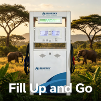 Distributeur de carburant économe en énergie pour stations-service en Afrique du Sud avec une précision de 0,25 % (5~55) L/min, débit stable