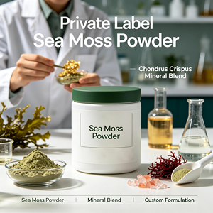 Poudre de mousse de mer à marque privée Chondrus Crispus, mélange minéral apaisant pour les intestins, superaliment quotidien, fabricant OEM - Product Image 1