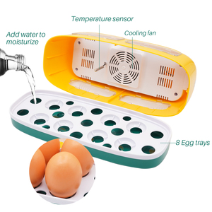 Incubateur d'œufs automatique pour 8 œufs, largement utilisé, petit incubateur mini pour poulets, poulets <span class=keywords><strong>de</strong></span> chair et pigeons - Product Image 6