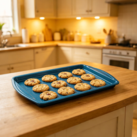 Plateau à biscuits antiadhésif en acier au carbone, couleur et taille personnalisables, pour solutions de cuisson OEM et ODM