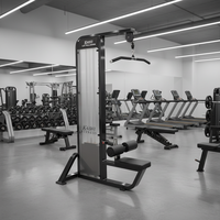 Aparato de Entrenamiento de Músculos de Espalda con Barra Ajustable de Acero para Uso Comercial, con Pila de Pesas de 138 kg