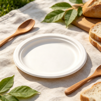 Assiette jetable en pulpe de bagasse robuste, résistante à l'huile, pour la restauration, les buffets et les commandes en gros
