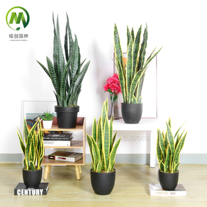 Bonsái de simulación Tropical más vendido, planta de <span class=keywords><strong>agave</strong></span> de <span class=keywords><strong>aloe</strong></span> <span class=keywords><strong>vera</strong></span> verde Artificial, bonsái decorativo de plástico para el hogar - Product Image 5