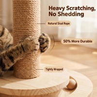 Tiang Garukan Kucing dari Sisal dengan Kanopi Payung Bulu Warna-warni, Mainan Burung Pom Pom Gantung, Bola Putar, Aktivitas Anak Kucing