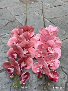 Spr Bán Buôn Handmade Nhân Tạo Phalaenopsis Màu Xanh Phong Lan 8 Người Đứng Đầu Duy Nhất Thân Thực Cảm Ứng Cho Năm Mới & Trang Trí Đám Cưới - Product Image 3