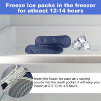 Bingyuan Mini-packs de glace personnalisés, étanches, améliorés, réutilisables, 18,5x7,5cm, 70g, pour étui de transport de refroidisseur d'insuline, approuvé par la TSA