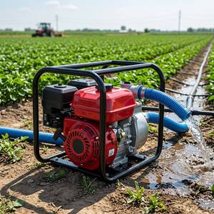 Pompe centrifuge à essence 6,5 CV au <span class=keywords><strong>meilleur</strong></span> prix pour l'entretien paysager et les services d'irrigation des parcs urbains - Product Image 6