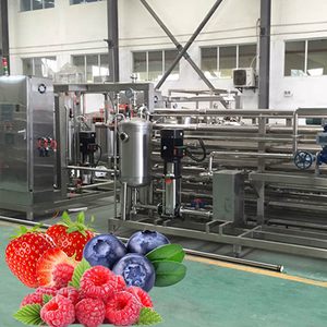 Nhà Máy Giá đầy đủ tự động máy làm nước ép trái cây Berry Máy ép trái cây dây chuyền sản xuất dâu tây Máy ép trái cây điền nhà máy chế biến - Product Image 2