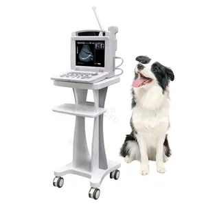 Machine à ultrasons médicale Portable de petite taille SY-A005, Scanner à ultrasons Portable vétérinaire