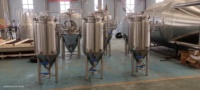 Acier inoxydable 304/316 1bbl 2bbl 3bbl Fermenteurs coniques 200L Réservoir de fermentation de bière à pression