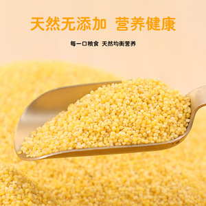 Alimento para Aves Budgerigar, Mijo Amarillo Descascarillado, Gránulos Grandes para Periquitos y Aves Peonía, Alimento Ecológico para Mascotas - Product Image 3