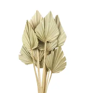 Kipas daun palem gaya INS, dekorasi telapak tangan bunga kering daun palem kreatif untuk dekorasi pesta pernikahan rumah