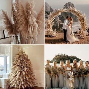 Prezzo all'ingrosso fiori decorativi erba pampa <span class=keywords><strong>centrotavola</strong></span> <span class=keywords><strong>matrimonio</strong></span> pampa Naturel Herbe De <span class=keywords><strong>Pampas</strong></span> - Product Image 4