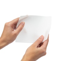 Feuilles de détergent biodégradables écologiques à marque privée OEM/ODM, savon à lessive en bandelettes, feuilles de détergent à lessive