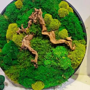 Cuscino eco-friendly da 0.16 mq Cuscino Cuscino Cuscino Cuscino 3D Verde Reale Stabilizzato Palo Conservato Giardinaggio Arte Decorazione Della Parete - Product Image 4