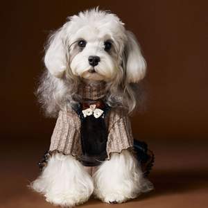 <span class=keywords><strong>2026</strong></span> Sonbahar Kış Modası Köpek Evcil Hayvanı Yakışıklı Deri Etek Elbise - Product Image 4