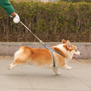 Disesuaikan mode baru 5m dapat ditarik tali anjing peliharaan tali anjing dengan renda dekorasi kerah kulit nilon untuk berjalan mendaki - Product Image 2