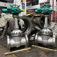 Vanne à opercule à lame extensible, Vanne à opercule pneumatique, Vanne à opercule à lame en fonte RV, Vanne à opercule manuelle en fonte ductile SW 6 pouces