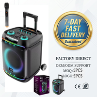 BA-S801 Altavoz Inalámbrico para Exteriores de 8 Pulgadas con Luces RGB, Micrófono Individual, Marca Privada, MOQ Bajo, Personalización de Fábrica, Entrega Rápida en 7 Días