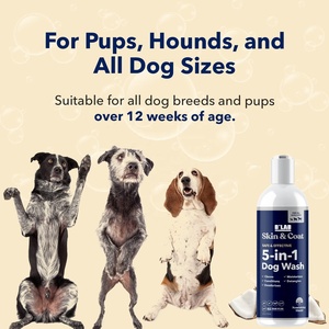 OEM ODM Pet <strong>Shampoo</strong> <strong>for</strong> <strong>Dogs</strong> and Cats <strong>Shampoo</strong> <strong>With</strong> Aloe Vera Vitamin E <strong>for</strong> Relieving Dry <strong>Itchy</strong> <strong>Skin</strong> <strong>Dog</strong> <strong>Shampoo</strong> - Product Image 5