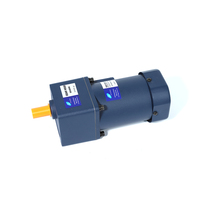 Moteur à engrenages compact monophasé DZ 6W-250W 110V/220V AC avec contrôleur de vitesse et support au sol