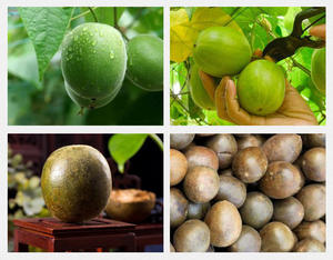 Fruta del Monje <span class=keywords><strong>Seca</strong></span> (Luo Han Guo) de Tamaño Pequeño para Farmacia de Medicina Tradicional China y Uso Personal - Product Image 4