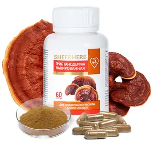 Pabrik organik Oem grosir 50% polysaccharide Lingzhi Ganoderma Lucidum ekstrak Reishi bubuk jamur