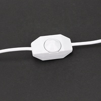 Câble d'alimentation pour lampe de sel avec variateur d'intensité et support G9, prise EU