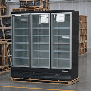 <span class=keywords><strong>Réfrigérateur</strong></span>-congélateur vertical commercial de qualité supérieure pour boissons, avec porte vitrée et refroidissement par ventilateur, idéal pour les boutiques et les supermarchés (R290) - Product Image 6