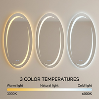 Miroir Ovale LED Kingstin Minimaliste - Miroir de Maquillage Intelligent Rétroéclairé Haut de Gamme