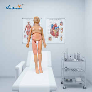 หุ่นจำลองพยาบาลหญิงอเนกประสงค์ สำหรับการสอนทางการแพทย์ หุ่นจำลองการปฐมพยาบาล หุ่นจำลองฝึกอบรมวิทยาศาสตร์การแพทย์ - Product Image 5