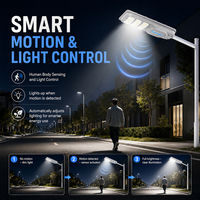 Lampe solaire extérieure idéale pour parcs, routes et autoroutes, 100W 200W 300W IP65, panneau solaire intégré, lampadaire solaire LED