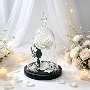 La <span class=keywords><strong>Bella</strong></span> <span class=keywords><strong>y</strong></span> la <span class=keywords><strong>Bestia</strong></span>, <span class=keywords><strong>Rosa</strong></span> Preservada, Flor Eterna en Cúpula de Cristal, Regalo para Novia, Mujer, Navidad, Acción de Gracias, Decoración del Hogar - Product Image 4