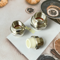 NFJM PPR filetage femelle Union adaptateur plomberie alimentation en eau Ppr raccords Ppr Union couplage connecteur acier inoxydable 304