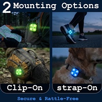 Collier de sécurité pour chien, lumière LED rechargeable, pour la marche nocturne, à clipser, haute visibilité, résistant à l'eau, USB-C