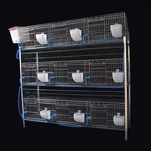 Il produttore fornisce gabbie per conigli, gabbie per l'allevamento di conigli, accessori per gabbie di allevamento di conigli e gabbie secondarie - Product Image 5